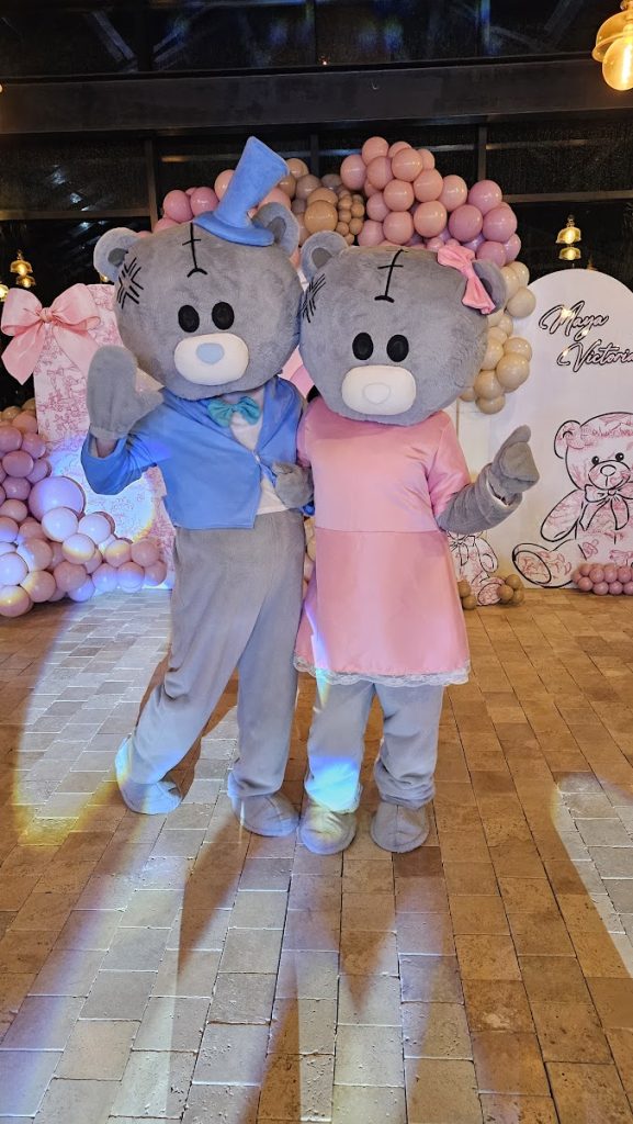 ursuletii teddy la petreceri pentru copii iasi