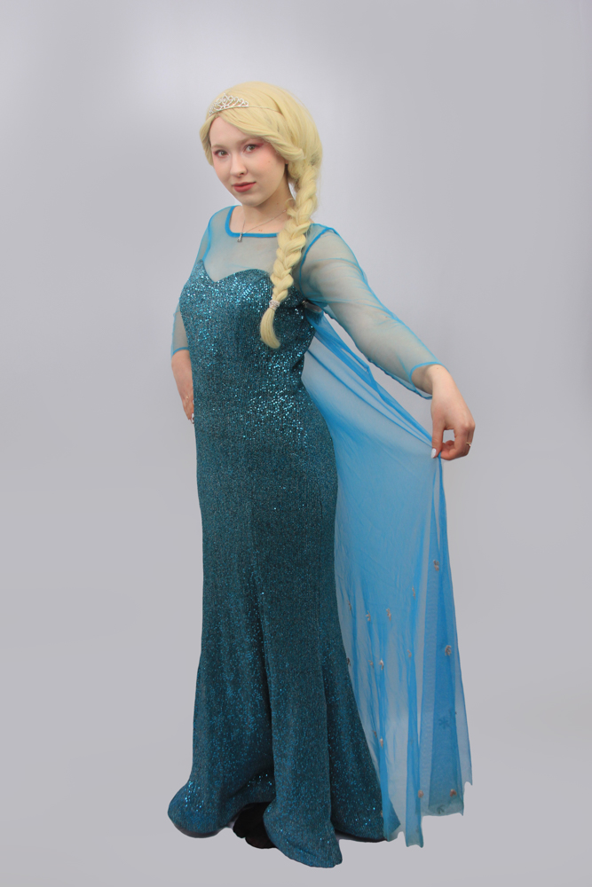Elsa din frozen petreceri copii