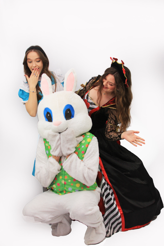 Alice regina de inima si iepurasul din tara minunilor costume petreceri copii