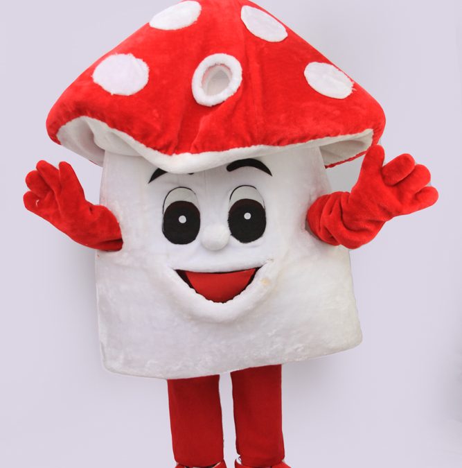 Mascote Ciuperci petreceri copii Iasi